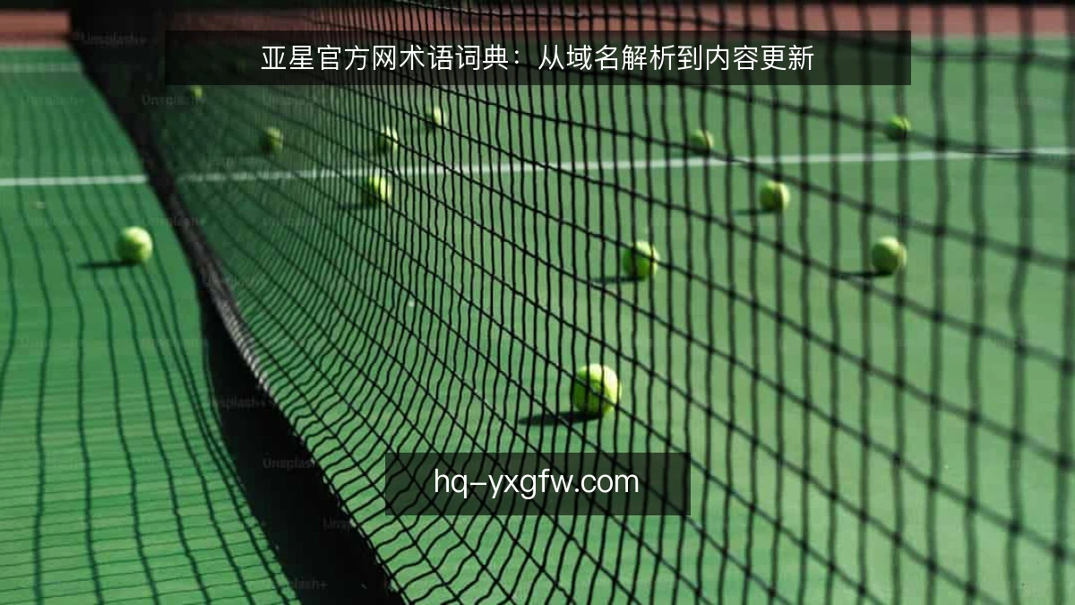 亚星官方网术语词典：从域名解析到内容更新
